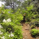 고소성주차장 | 성제봉 /경남 하동