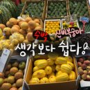 가락시장(가락몰) 과일사기 | 일반인이 가도 될까? 직접 다녀와봤어요 (주차, 가게추천, 가격 + 신비...