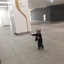 태태옷장