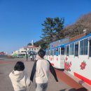 여수여행 가볼만한곳(동백열차, 여수예술랜드, 해상케이블카)