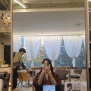 장산역 헤드스파 시세이도 그루밍 두피케어 즉각적인 효과가 최고야! :)