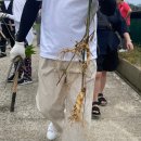 호미들고스테이 | 스테이 인터뷰에서 도파민 충전하는 농촌시그널 in 금산!! 충남금산세계인삼축제 조팝꽃피는마을 체험...