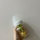 [아기젖병] 입작은 아기의 젖병 교체 후기 및 브랜드별 장단점 [그린맘 슬림형, 닥터브라운 와이드형...