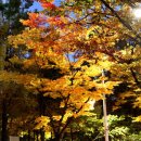산하의물결 Daum카페
