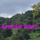 어제 빡센에 오늘 여러곳 목청 답사산행.107 이미지