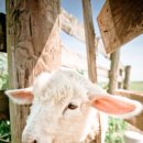 카페뚜레쥬르 이미지