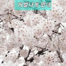 새아침약국 이미지