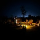 별빛호텔(별) 이미지