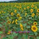 단원구청 이미지