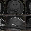단비동물병원 이미지