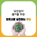 유안참치 이미지