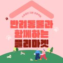 유올리 이미지