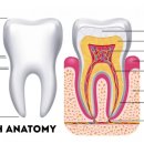 정 치과보존과 치과의원 이미지
