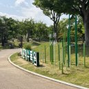 석대해운대우체국앞 | 부산 해운대수목원 장미공원 추천!(주차+실시간 개화 상황)