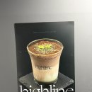 해피라인 | [성수] 하이라인 성수 카페 저녁 해피와인아워 셋 후기