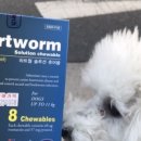 에코동물약국 이미지