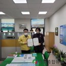 진도담배 이미지
