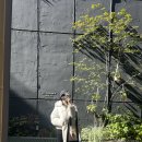 김송이의원 | 김송이의원 스컬트라 후기 내돈내산💸 (with박혜란원장님)