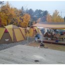 가평 캠핑& 캔싱턴 리조트 오토캠핑 번개모임(10월 25일) 이미지