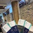 통계청 맞은 편 횡단보도 | 부산 → 후쿠오카 뉴카멜리아호 운항요금, 내부시설 자세한 정보 총정리 (내돈내산 후기)