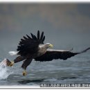 상오농장 이미지