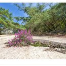 연풍레포츠공원 이미지