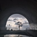 진도대교휴게소 | 8. 생각보다 훨씬 좋았던 진도 쏠비치 오션뷰 숙소