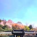 (주)형동