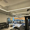 머슬베어pt 신길점 이미지