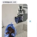 백마세탁소 이미지