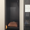 씨유 광안원룸점 | 광안리 마사지 추천 '마사지 달인' 광안역 마사지샵 등어깨 통증관리 솔직후기