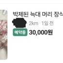 다파네 Daum카페