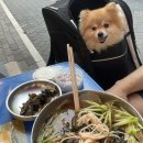 곰팅이비어 | 인천 부평 애견동반 피시방 곰팅이피시방 애견동반 후기
