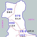 면목동 느티나무 | 구리 처음 여행 가이드