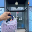 대전엔드리스풀 | 대전 프라이빗 수영장 DSTC 방문기!