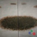 사계절풍경 이미지