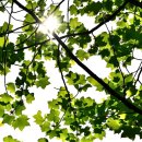 햇살좋은아침 이미지