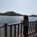 옥정 느티나무길 이미지