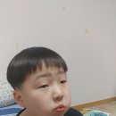 멍멍이달린다
