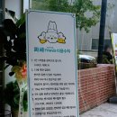 대구 다사 실내 애견카페 추천 넓은 신상 짜세프렌즈