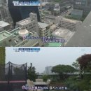 김혜은 집공개, 강남속 야외정원 '힐링하우스' 이미지