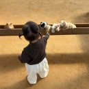 잉꼬하우스 | 동탄 근교 아기랑 체험농장 용인 남사 무럭무럭농장 15개월아기