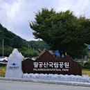 은해사성보박물관 | 영천 은해사 수목장,자연 속 평온한 아버지의 안식처 수목장 가격및위치 장점 완벽정리