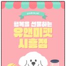 천안고양이 분양 냥블리 | 천안고양이분양 후기 우리 집에 온 작은 천사, 유앤미펫시흥점에서 시작된 특별한 만남