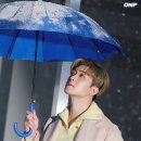 온데이오프 이미지