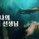 홈 바이 트로아