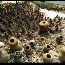 토암도자기공원 이미지