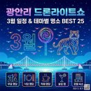 호메르스호텔(주) | [정보/여행] 부산 광안리 드론쇼 시간 3월 일정 및 명당 식당 카페 25곳 총정리