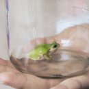 송정동 446-4 이미지