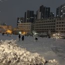 청해장갑 이미지